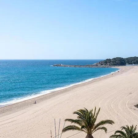 Beautiful Beachfront In Paradise Appartement