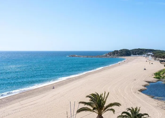 Beautiful Beachfront In Paradise Appartement